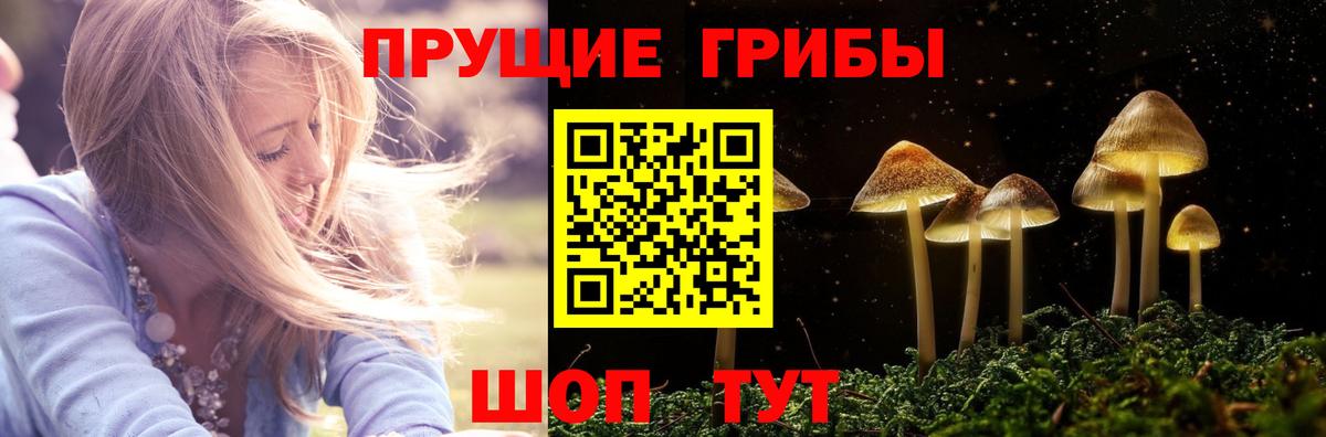 Псилоцибиновые грибы мухоморы  Вход с VPN  Печора 
